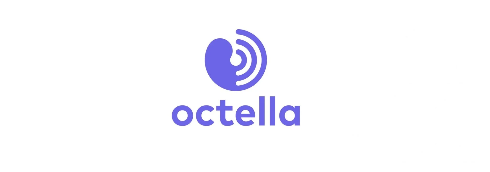 Octella: Zīmola identitāte, zīmola grāmata, 3