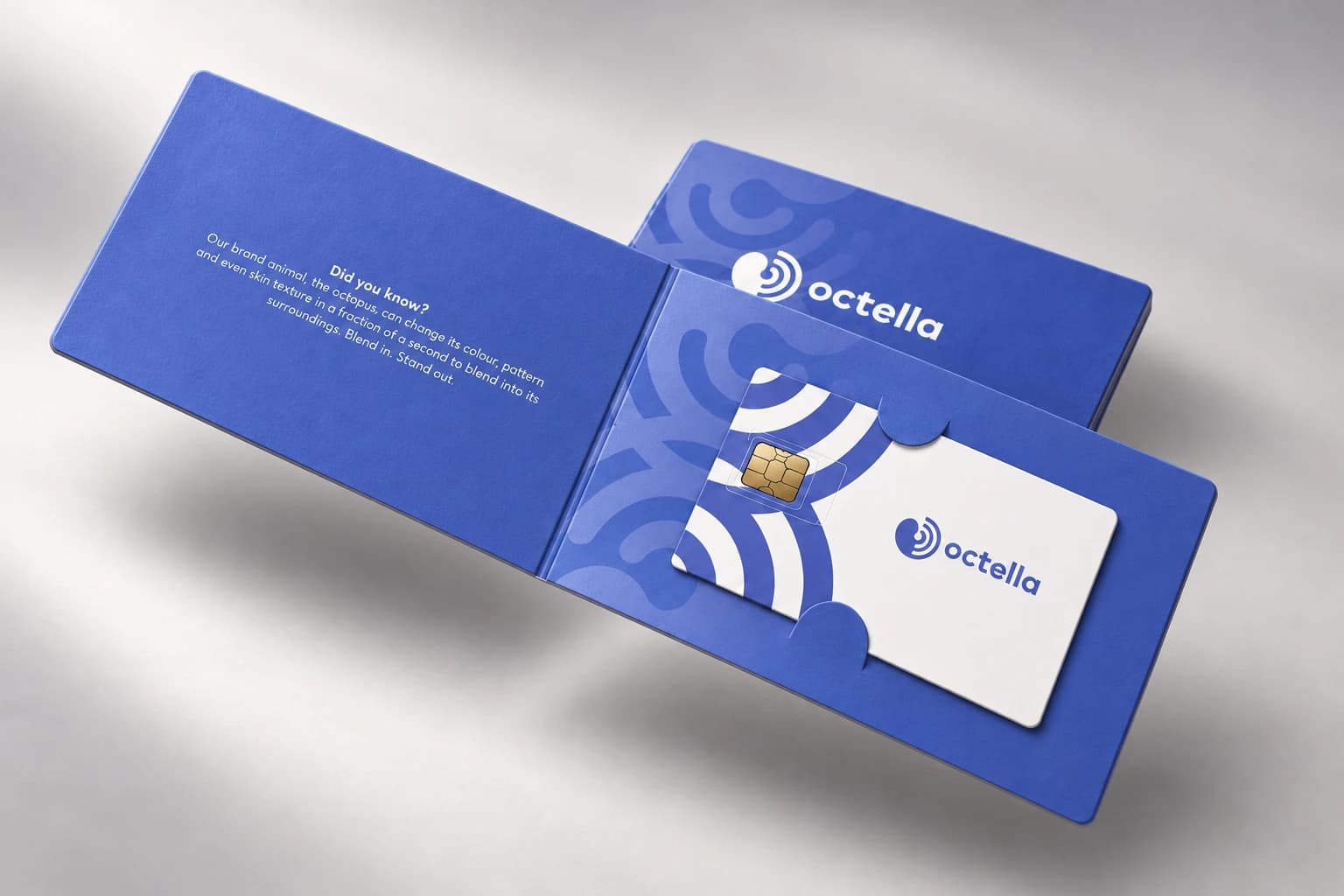Octella: Zīmola identitāte, zīmola grāmata, 5