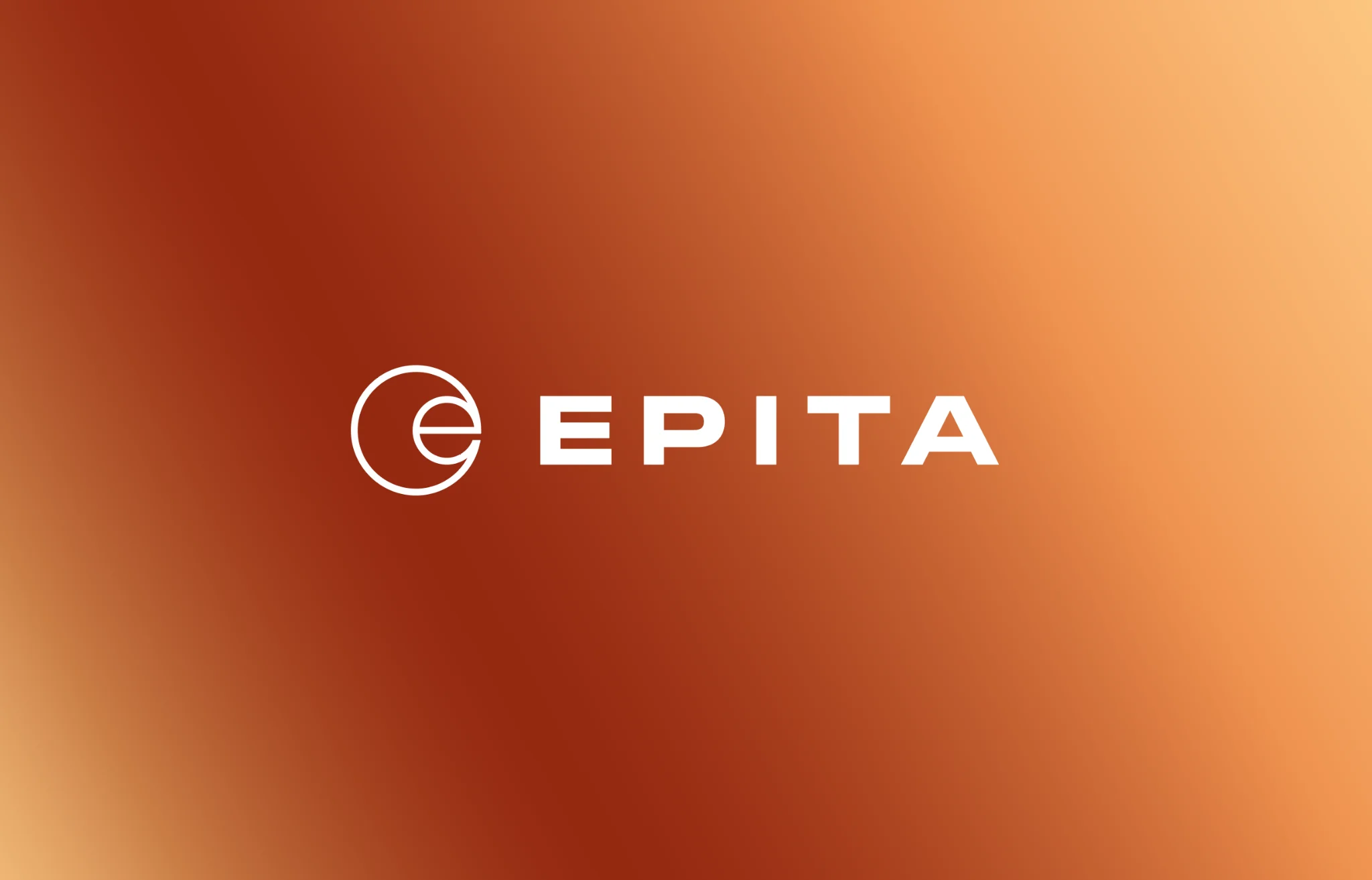 Epita: Zīmola identitāte, vizuālās vadlīnijas