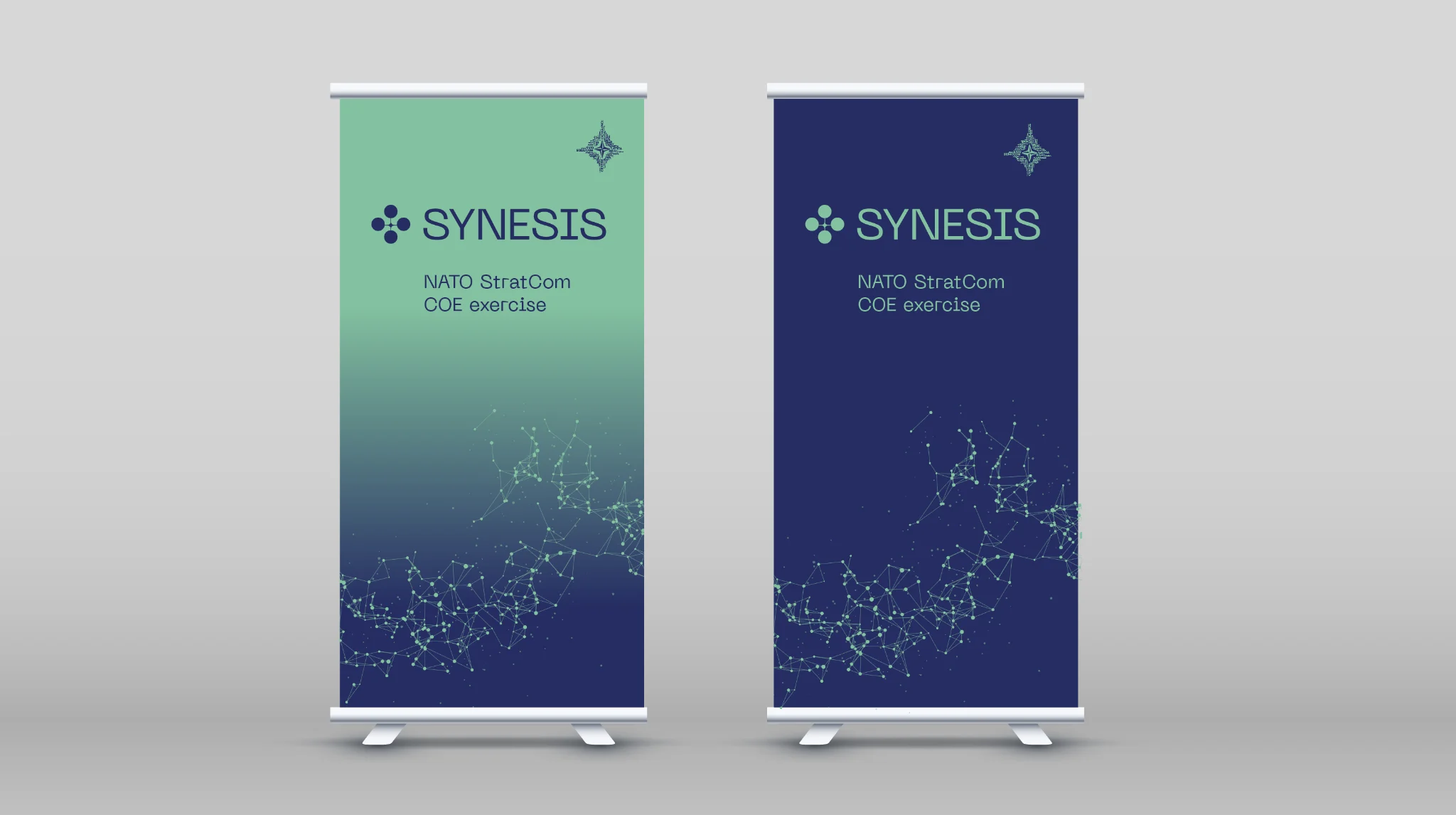 Synesis: Vizuālā identitāte, 11