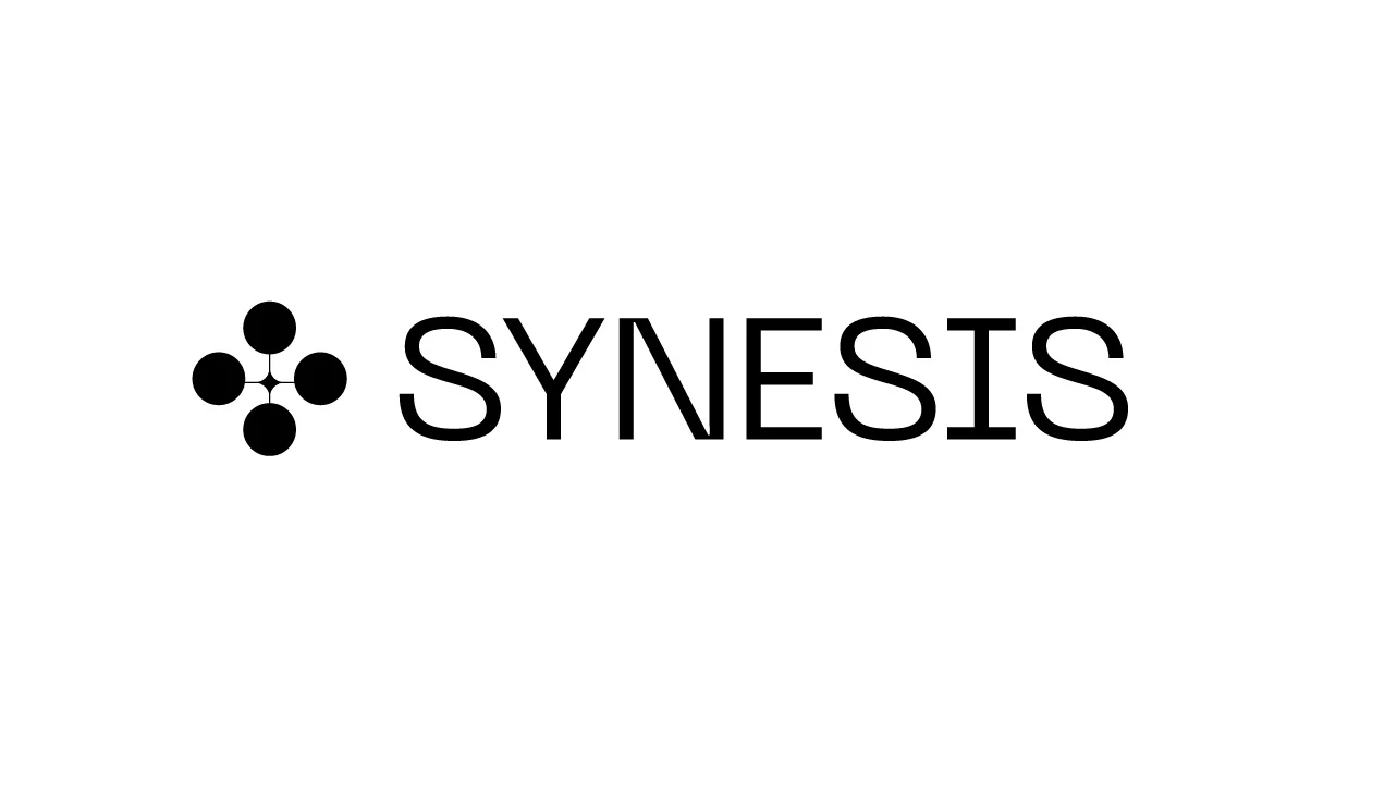 Synesis: Vizuālā identitāte, 2